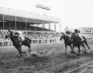 Continuous Count Racehorse, Vintage Kentucky Derby Photo Poster Print, Imagekind - Picture 1 of 17