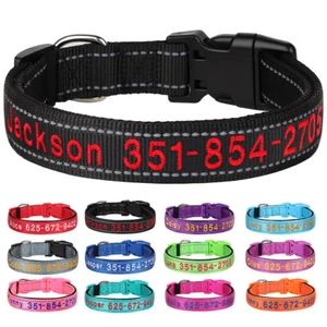Nylon Hundehalsband Bestickt Personalisiert Name Telefonnummer Reflektierend XL - Bild 1 von 30