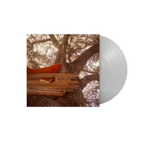 The Backseat Lovers Waiting to Spill (Vinyl) - Picture 1 of 1