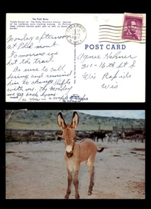 MayfairStamps US 1963 New Mexico Cimarron to Wisconsin Rapids WI Pack Burro Post - Picture 1 of 2