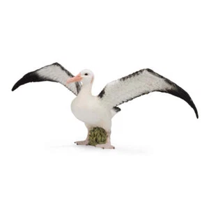 Figura de albatros errante réplica animal realista CollectA grandes edades 3+ - Imagen 1 de 1