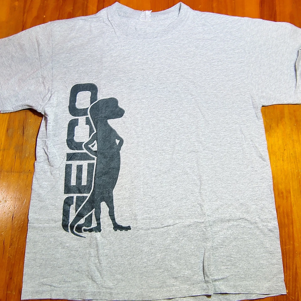 GEICO Gecko Logo T-Shirt Men’s Size L Gray Jerzees HiDensi-T Insurance Promo... - Image 1 of 4