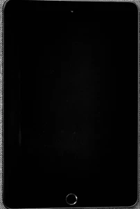 iPad mini 5. Gen 256 GB Spacegrau Wifi. Top-Zustand und weitere Details - Bild 1 von 6