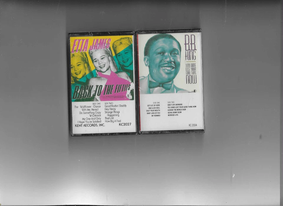 R & B CASSETTE- LOT OF 2 ETTA JAMES BACK TO THE FIFTIES & BB KING YOU DONE LOST Foto 1 de 1
