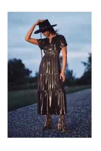 Anthropologie Maxi Dress XS Metallic Silver The Somerset Western Babydoll - Picture 1 of 11