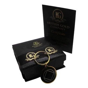 NA NARCOTICS ANONYMOUS Keyring GOLD CLAD Keychain Recovery Gift Addiction Drugs - Picture 1 of 4