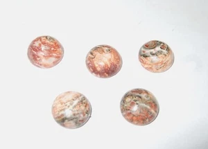 - Cabochon Pietra Cristalloterapia - DIASPRO LEOPARDITE tondo 10 mm - Picture 1 of 1