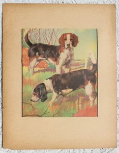 Perro Beagle Beagles con estampado Victory Becker vintage década de 1940 - Imagen 1 de 2