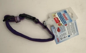 HALTI Collar - Size X-Small (20-30cm) - Purple / Black - Picture 1 of 5