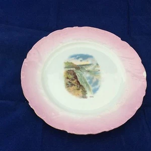 Vintage Niagra Falls Vicotria Austria Teller komplett rosa Rand gewellt  - Bild 1 von 4