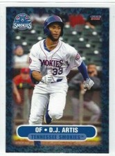 2021 Tennessee Smokies (Double-A Chicago Cubs) D.J. Artis