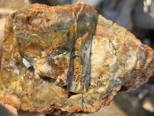 Large Coprolite Fossil dinosaur - Picture 1 of 8