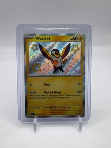 Pokemon Wattrel - 145/091 - Destino Paldeo - Baby Shiny Rare Holo - quasi nuovo - Foto 1 di 2