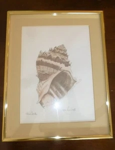 Art Litho Print Drawing Crown Conch Pencil Signed & Titled by DON RUSSELL - Picture 1 of 7