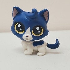 Littlest Pet Shop Authentic # 39 Keena Catley Royal Blue White Munchkin Cat