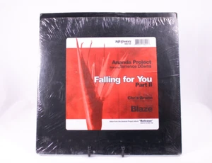 Ananda Project Featuring Terrance Downs - Falling For You (Part II) - 12" - Bild 1 von 2