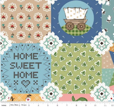 108" Wide Backing Fabric Prairie Very Prairie Lori Holt Riley Blake Quarter Yd - Image 1 of 2