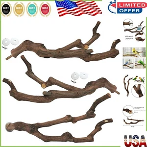 Easy Install Natural Grape Vine Perches - 3PCS for Active Budgies & Cockatiels - Picture 1 of 9