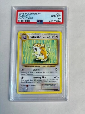 2016 Pokemon XY Evolutions Raticate #67 PSA 10 - Image 1 of 2