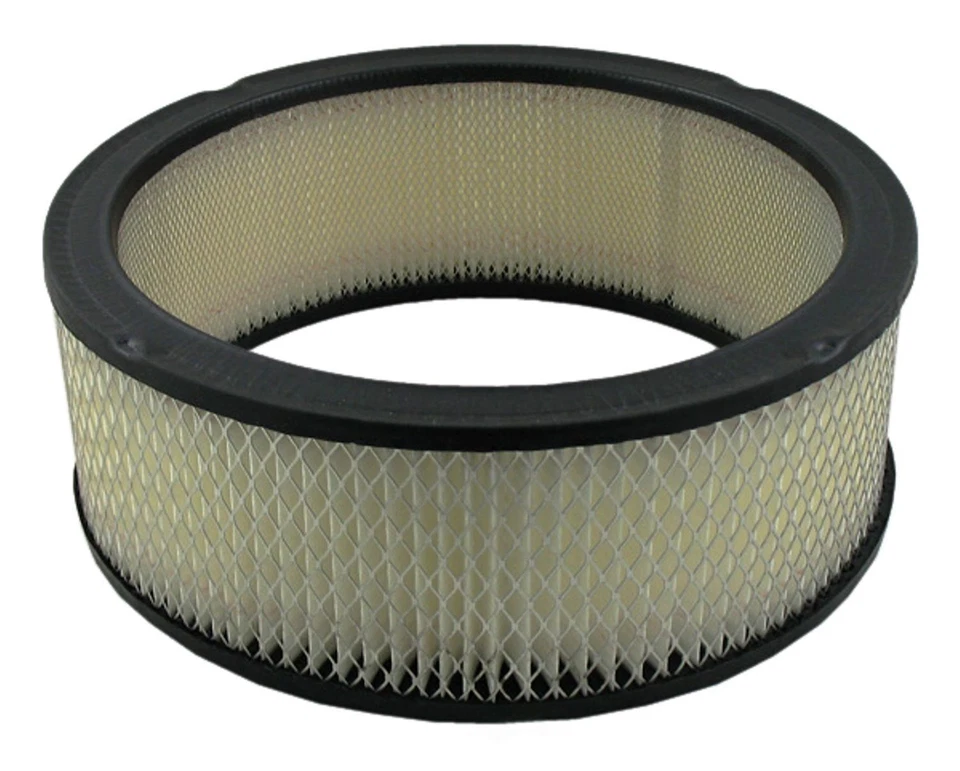 Filtro de aire para GMC C1500 1985-1995 con motor de 4,3 L 6 cilindros Foto 1 de 1