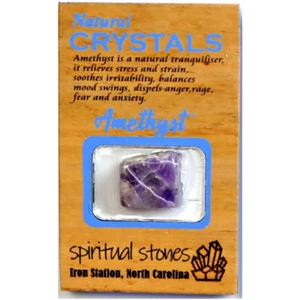 Kühlschrankmagnet Amethyst Scheibe auf Mahagoni Holzsockel 3x2 Zoll - Bild 1 von 1