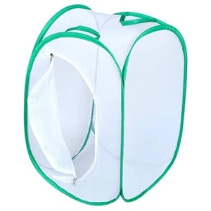 Collapsible Insect and Butterfly Kit Garden Growing Habitat cage Terrarium Pop - Picture 1 of 8