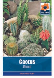 Mixed Flowering Cactus Seeds 65 Per Pack - High Quality Houseplant Seeds Cactii - Picture 1 of 2