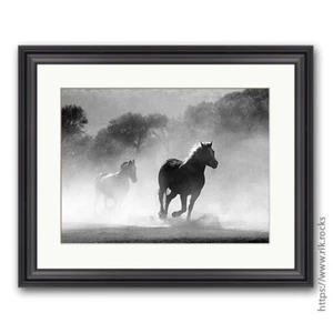 Wild Horses Stallions Running Picture Frame Photo Art Framed Print 20x16" - Picture 1 of 2