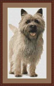 Kit de punto de cruz para perro Cairn Terrier - Imagen 1 de 2