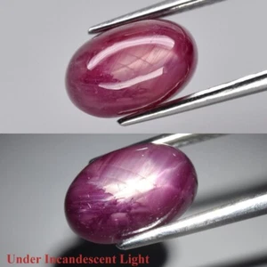 6.00ct 11x7mm Oval Cabochon Purplish Red 6 Ray Star Ruby (Heated Glass Filling) - Picture 1 of 12