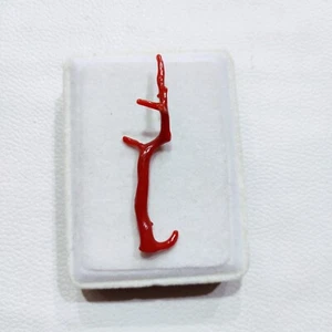 Corallo italiano lucido grezzo pietra preziosa sciolta 100% corallo rosso nat... - Foto 1 di 9