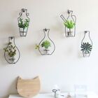Plant Flower Racks Decorative Shelves Flowerpots Accessory Wall Hanging Vase