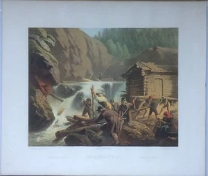 Cromolitografo antiguo Emil Baerentzen c. 1860 ""Madera flotante"" Suecia 16x20 - Imagen 1 de 7