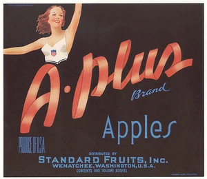 *Original* A-PLUS Woman Athlete Sports PATRIOTIC USA Apple Label KEINE KOPIE! - Bild 1 von 1