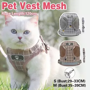 Kitten Dog Cat Walking Harness Lead Leash Collar Pet Vest Mesh Adjustable NEW AU - Picture 1 of 14