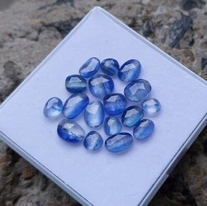 Lote de 17 piezas 18 quilates 5x5,5 a 5,5x9 mm color azul neón natural cianita corte rosa - Imagen 1 de 24