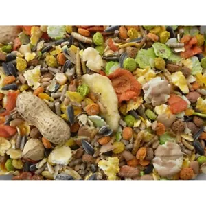 Premium Hamster & Gerbil Food Mix with Fruit Veg Mealworms Nuts & Mealworms - Picture 1 of 1