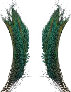 50 piezas plumas naturales de espada de pavo real de 12-14 pulgadas para decoración del hogar boda fiesta vaso - Imagen 1 de 12