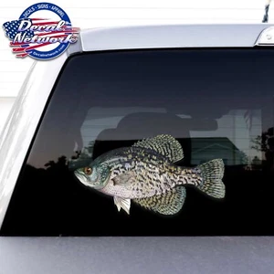 Black Crappie Full color fish Vinyl decal set of 2 right / left facing - Picture 1 of 3