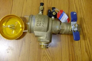 FEBCO Watt 1" Bronze Druck Vakuum Brecher Ventil 765-QT-FZ PVB - Bild 1 von 13