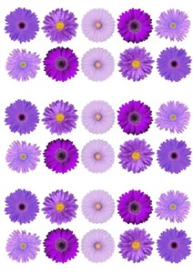 30 Mixed Purple Lilac Gerbera Flower / Daisy Edible Wafer Paper Cupcake Toppers - Picture 1 of 1
