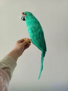 new simulation green parrot model foam and feather parrot bird gift about 42cm - Picture 1 of 6
