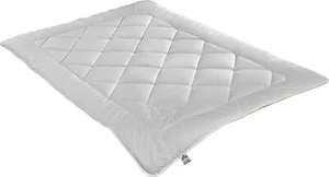 Irisette Greenline Duo-Steppbett "Kamel ECO" 100% Kamelhaar - Bild 1 von 4