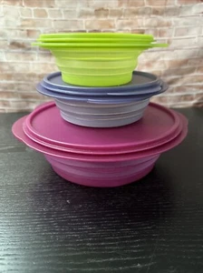 6 Stück Tupperware FlatOut! Faltbare Behälter ~ 8 1/4c ~ 4c ~ 3c und Deckel - Bild 1 von 9