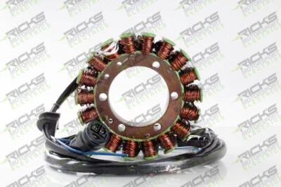 Estator Ricks para Kawasaki Ninja ZX12R ZX1200B 2000-2001 21-215 Foto 1 de 3