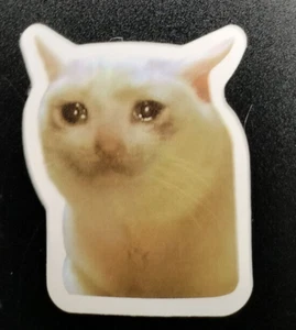 Sad Crying Cat Funny Meme Decal Sticker for Tumblers Laptops - Picture 1 of 2