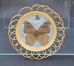 Posavasos vintage de mimbre marrón diseño mariposa de aproximadamente 4 5/8" de ancho B24 - Imagen 1 de 9
