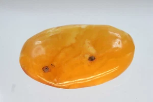 Butterscotch Egg Yolk Amber Bernsteinbrosche 4,6 Gr. aus Bernsteinsammlung - Bild 1 von 5