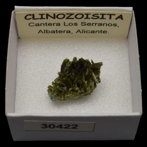 CLINOZOISITA (Los Serranos, Albatera, Alicante) #30422 / Clinozoisite - Picture 1 of 1