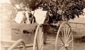 1906 RPPC "ABBIE'S LITTLE DOGS" IN WAGON to MARRION DEAN REAL PHOTO POSTCARD - Picture 1 of 3